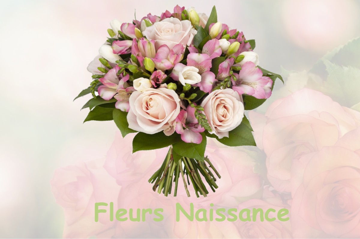 fleurs naissance SAINT-LAURENT-DE-LEVEZOU