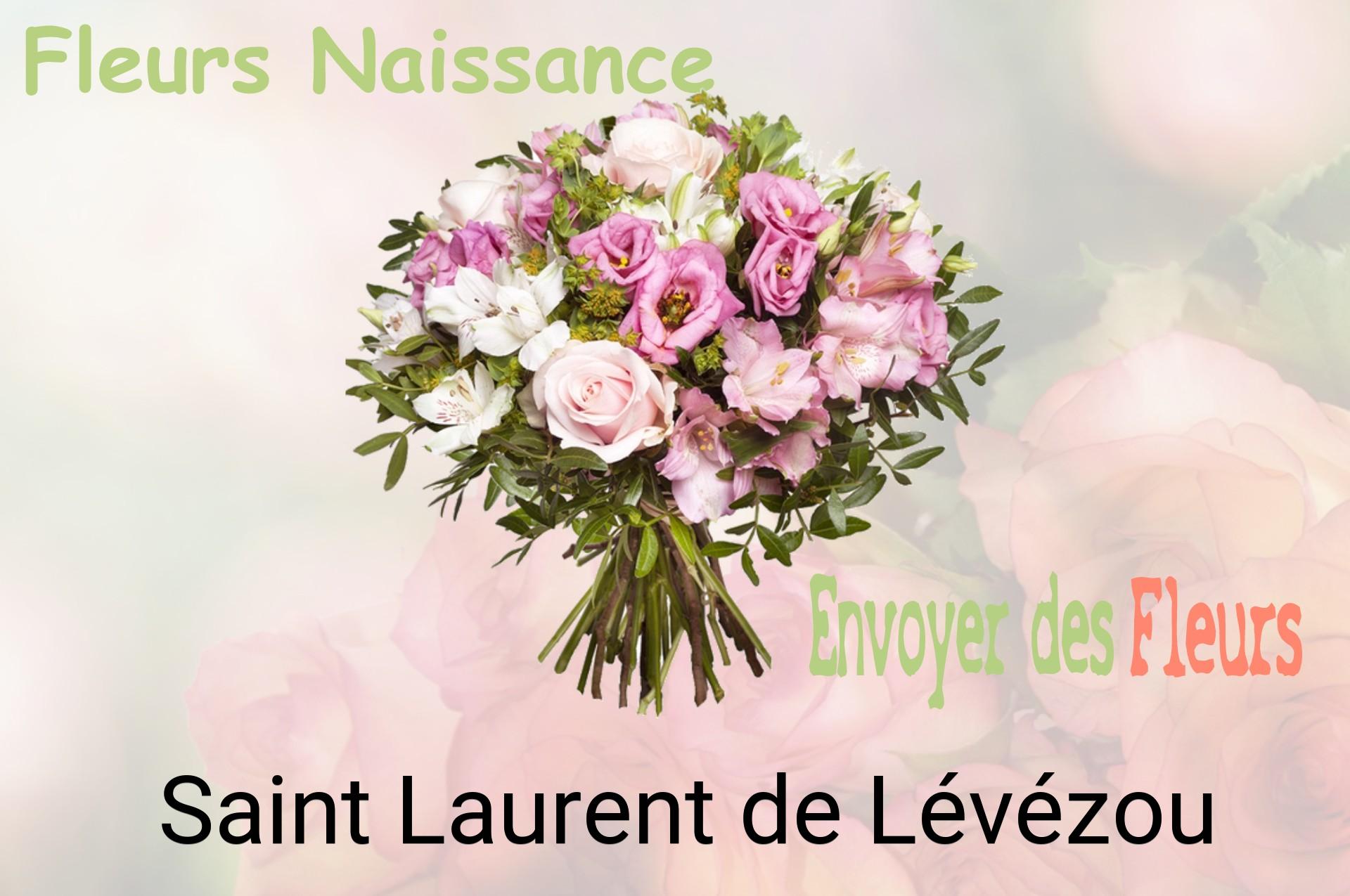 Bouquet de fleurs de naissance livré à Saint-Laurent-de-Lévézou